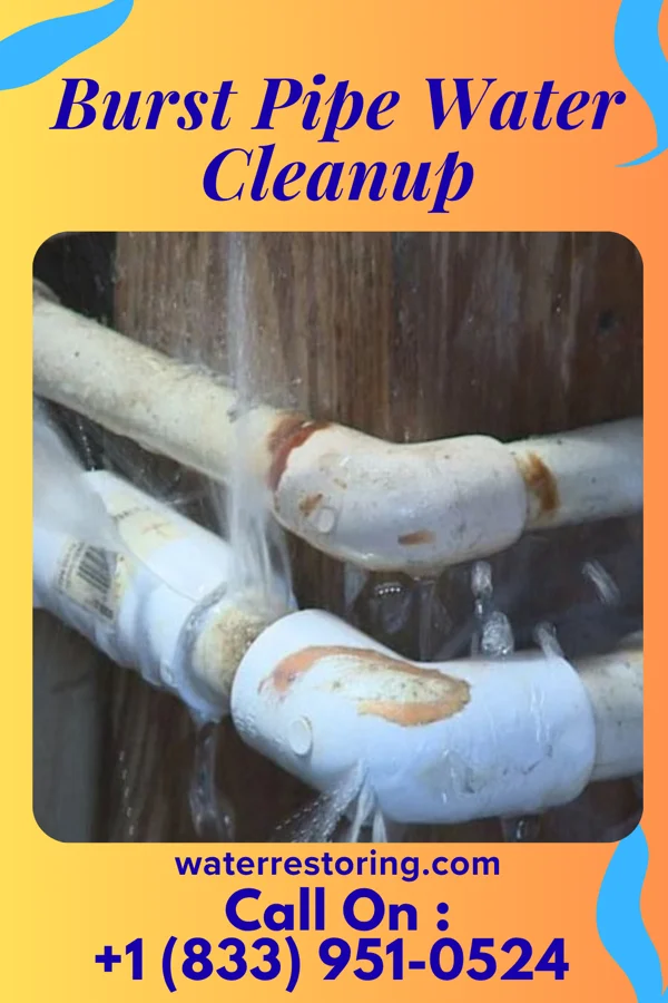 Burst Pipe Water Cleanup in Hadar, NE