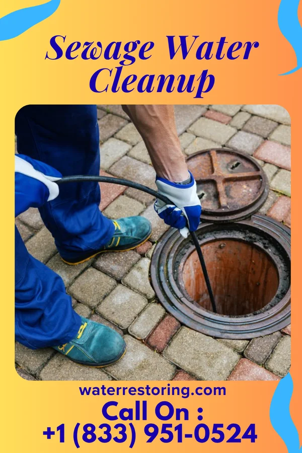 Sewage Water Cleanup in Hadar, NE