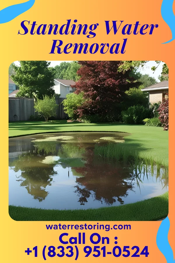 Standing Water Removal in Hadar, NE
